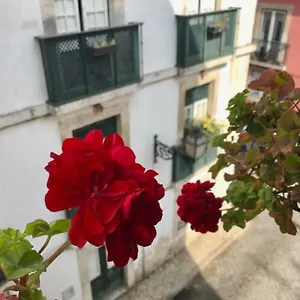  Apartamento In The Heart Of